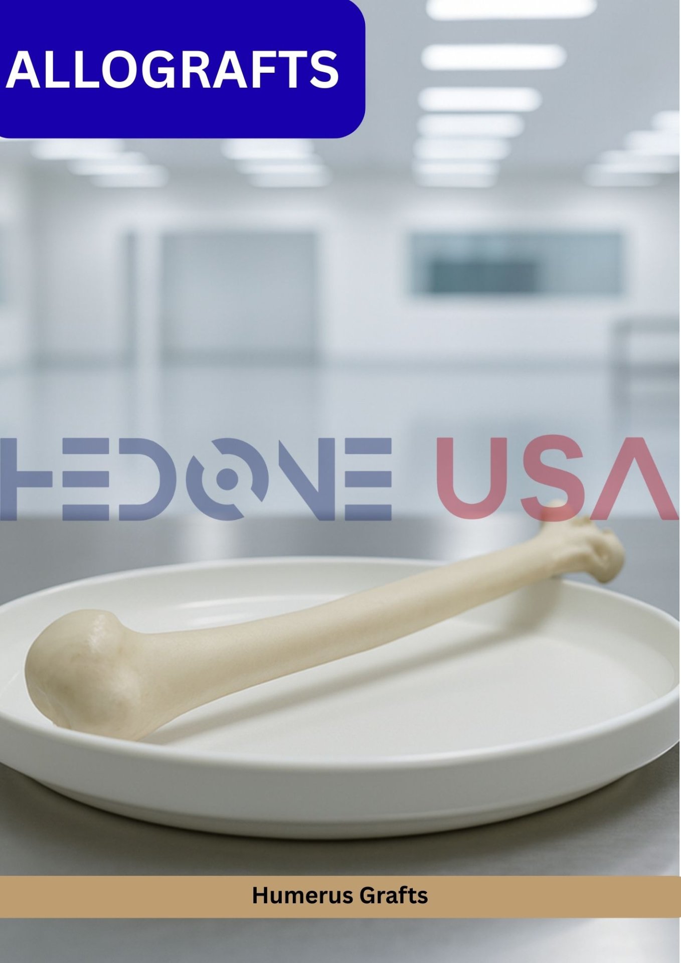 Humerus Grafts